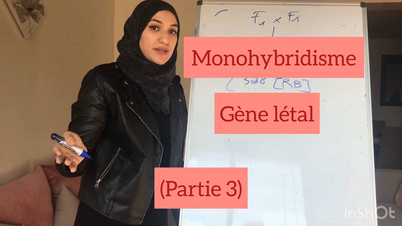 Unité 2/chapitre 4/ gène létal et dominance complète (partie 3)