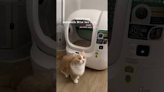 My lifesaver🥺 Link in bio for more details🔗✨ #petkit #purobotmaxpro2 #smartlitterbox