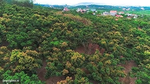 Toàn cảnh thành phố Vải Lục Ngạn - Bắc Giang FLYCAM