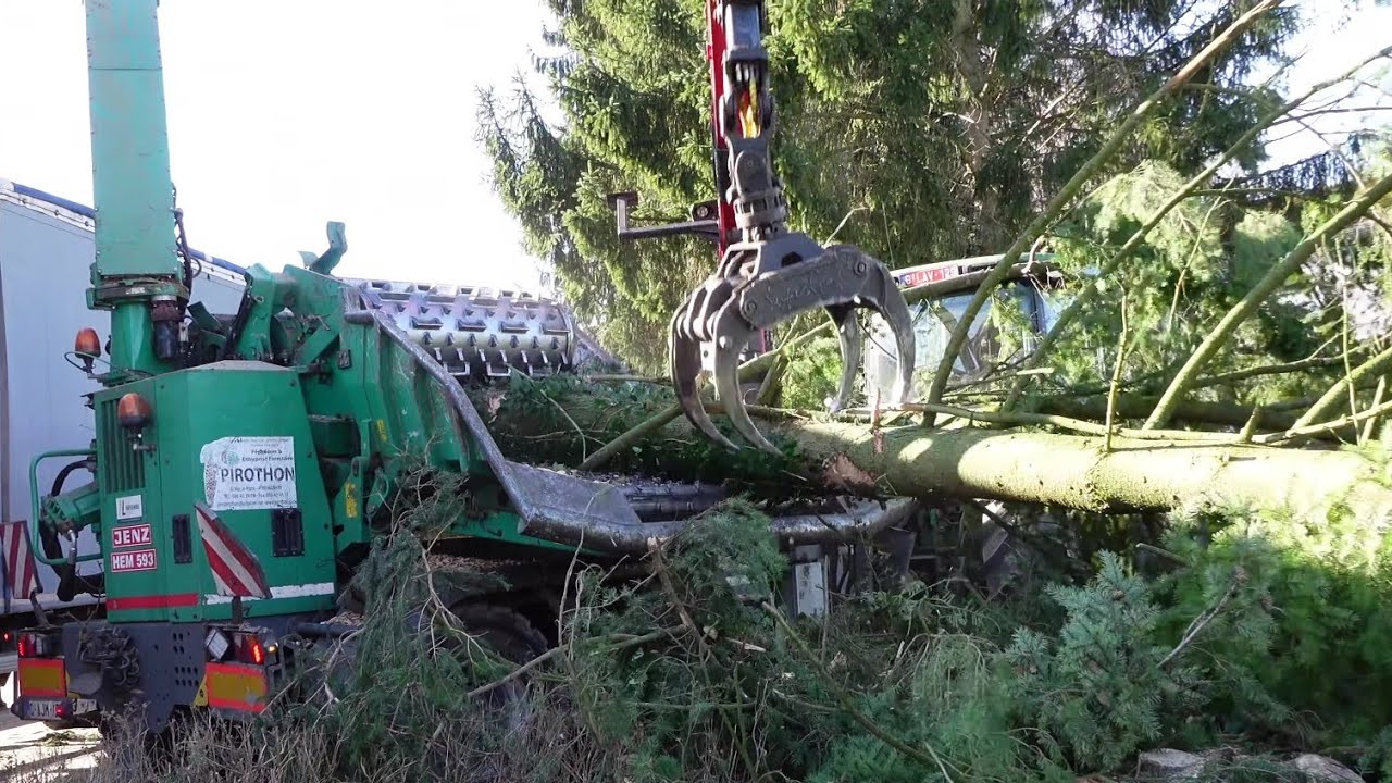 GROS ABATTAGE , BROYEUR FORESTIER , IL BROIE LES ARBRES ENTIERS 😅😱