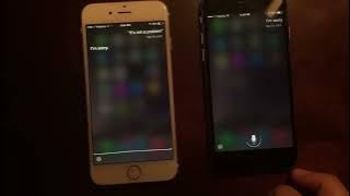 Male and female Siri talking to each other!