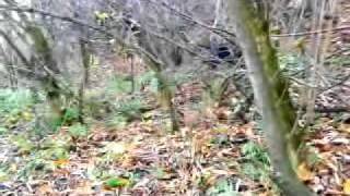 DSC00085
