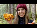 Wild Chanterelle Mushroom Hunting + The Best Way to Cook Chanterelles | Foraging in the PNW