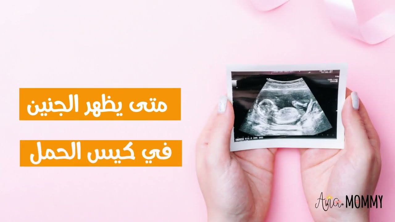متى يظهر الجنين في كيس الحمل .. متى يظهر الجنين بالسونار