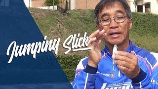 JUMPING STICK 85 e 95 [ LUCKY ISCAS ARTIFICIAIS ]