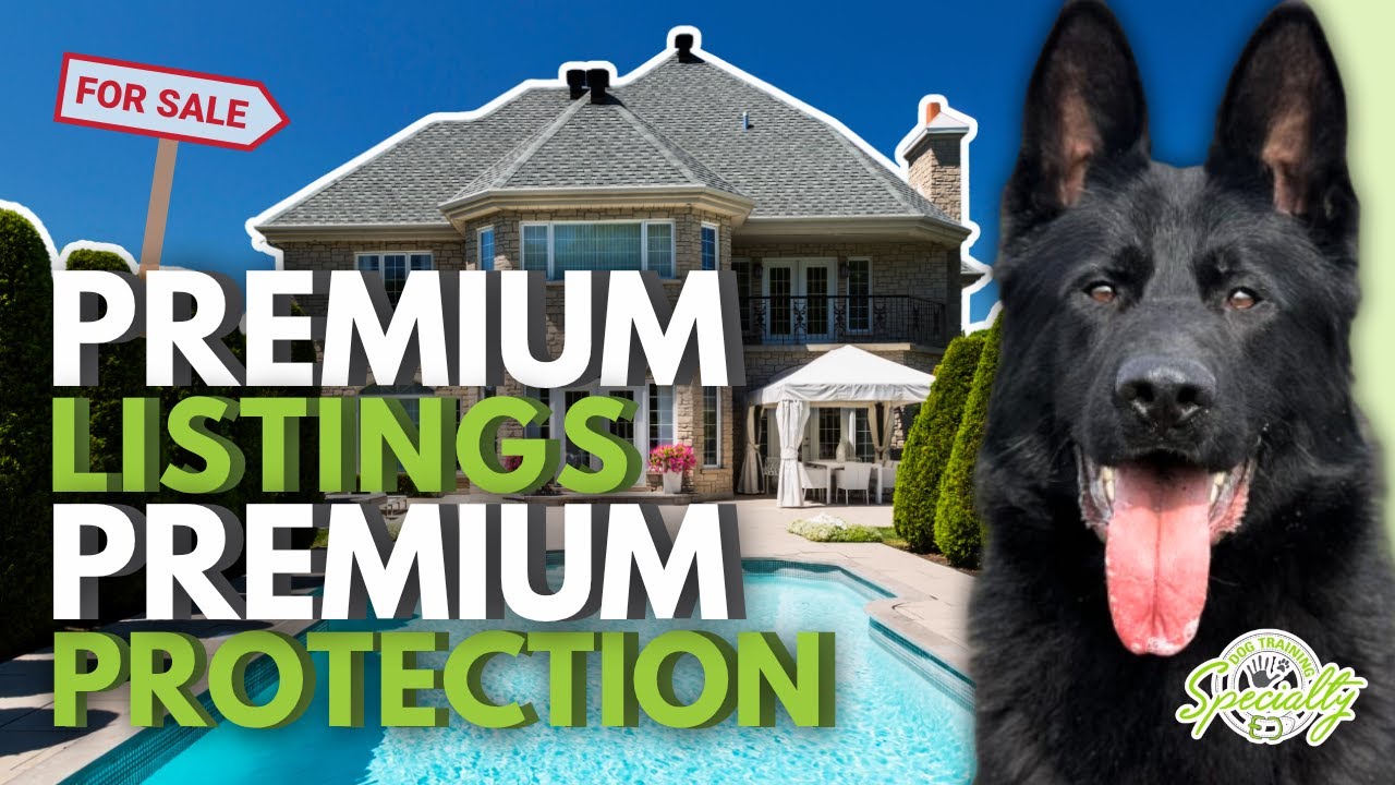 Why Every Real Estate Agent Needs a Protection Dog