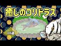 宇宙一癒される魚コリドラス10選【熱帯魚 アクアリウム】