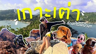 เที่ยวเกาะเต่า เกาะที่(เคย)ไม่อยากมาที่สุด...แต่ตอนนี้รักที่สุด !  | Vlog | EarnEve