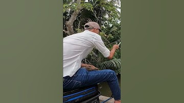 #25 CÂU CÁ ĐIÊU HỒNG THIÊN NHIÊN | HUYNH KHOA FISHING