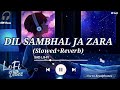 Dil Sambhal Ja Zara. Lofi |Slowed+Reverb)|Arijit singh. Lofi Bollywood Song 2024|SK Lofi|