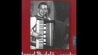 Cântec dinspre ziuă - Marcel Budală