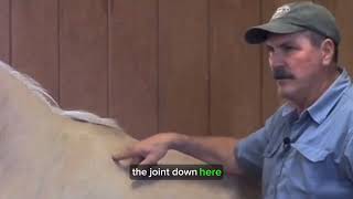 Masterson Method - Withers Wiggle Technique