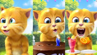 talking ginger laughing cat moments  enjoying eating unlimited foods  #cartoon #catvideos