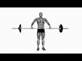 Barbell Wide Shrug - Proper Form &amp; Technique [4K]