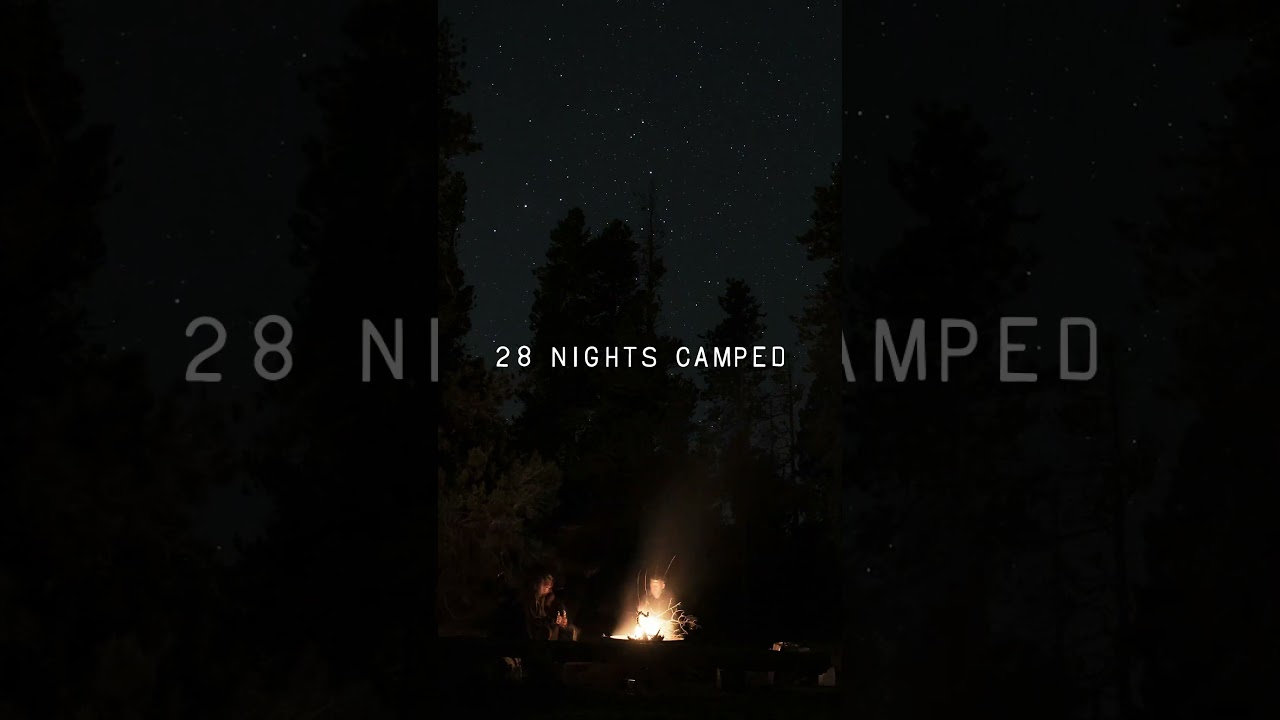 That's Wrap on 2024: A Year of Wild Documentary Adventures