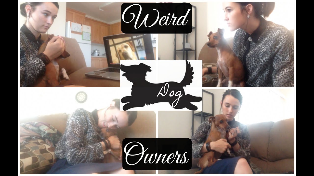 Weird Things Dog Owners Do BrandiNoelle YouTube weird-things-dog-owners-do-brandinoelle-youtube