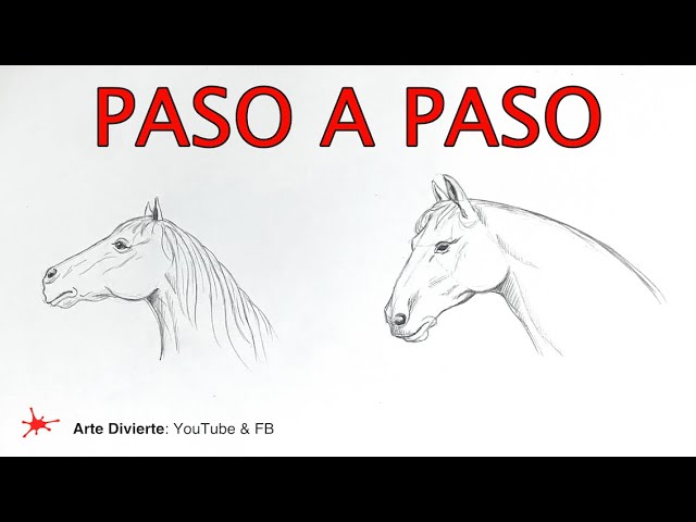 CÓMO DIBUJAR UNA CABEZA DE CABALLO PASO A PASO - Muy fácil! - YouTube c-mo-dibujar-una-cabeza-de-caballo-paso-a-paso-muy-f-cil-youtube