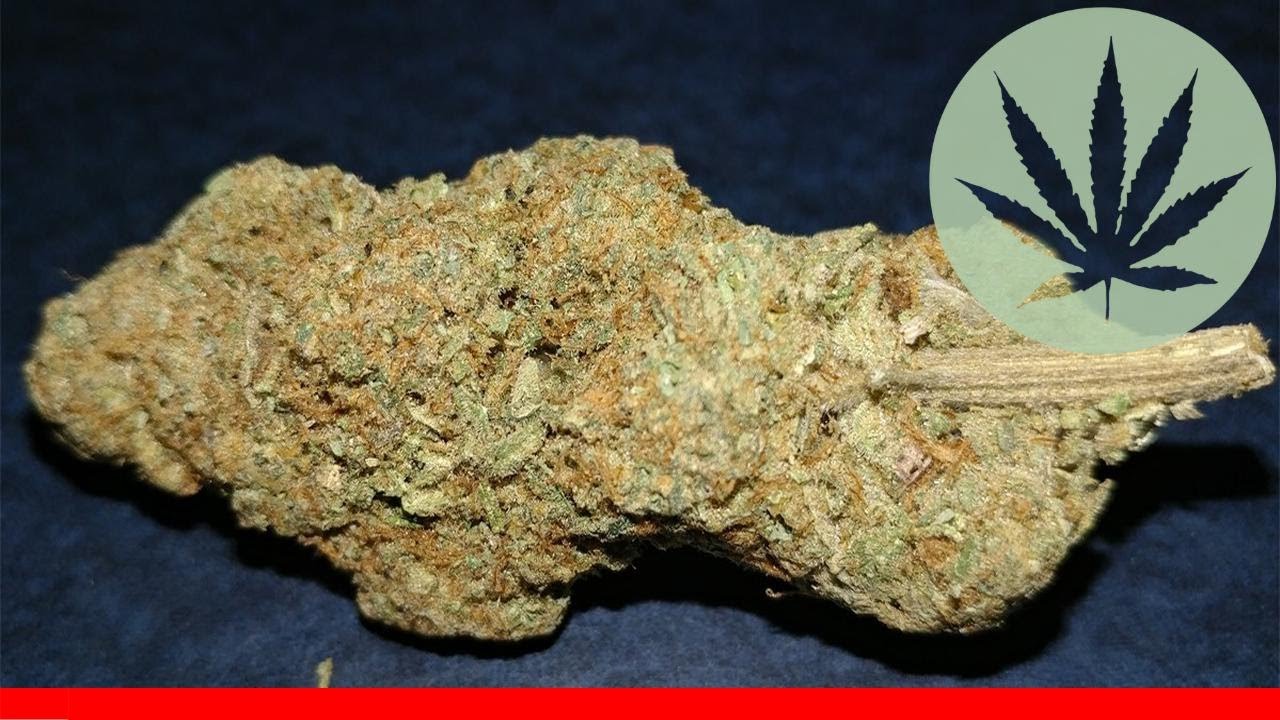 Kosher Tangie - All About This Strain