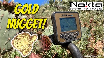 I found a GOLD NUGGET with my Metal Detector - Nokta Gold Kruzer