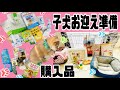 【豆柴】子犬のお迎え準備♡グッズ紹介【子犬】