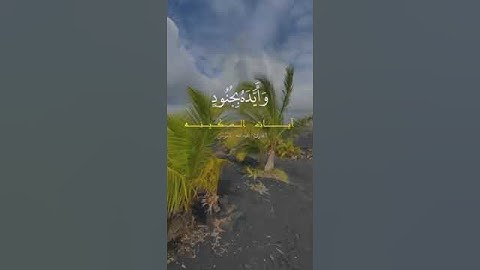 تلاوة تريح القلب والنفس #s_202_des