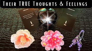 Pick A Card ❤ Let’s Channel Their THOUGHTS  & FEELINGS  About YOU (Tarot + Scrying/Remote View)