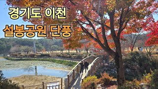 경기도 이천 설봉공원 단풍 구경