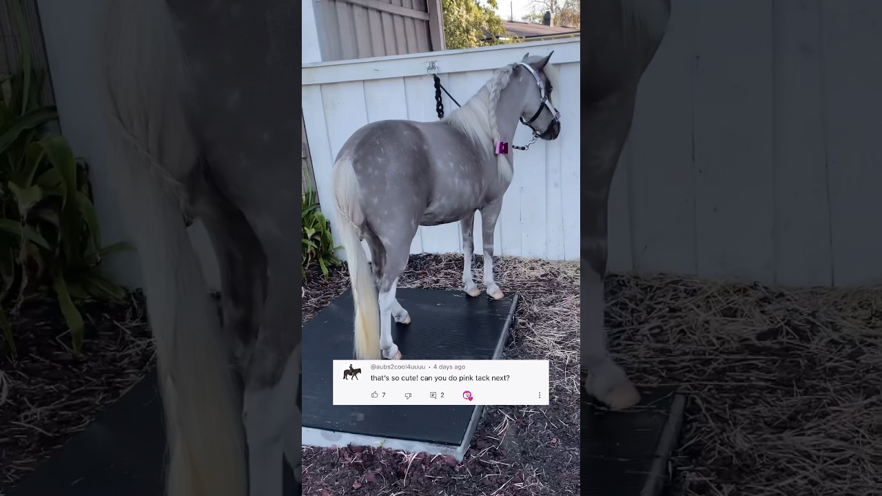 Pink Tack Saddle Up Mini Horse 