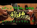 #03 稲穂/スピッツ【アコギで「色色衣」全収録曲を弾いてみた】