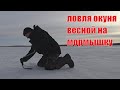 Ловля окуня весной со льда на мормышку рыбалка 2021