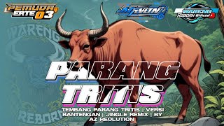 DJ BANTENGAN - PARANG TRITIS | TEMBANG PARANG TRITIS | VERSI BANTENGAN WARENG REBORN 🔥