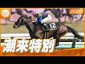 【レース映像】中山9R 潮来特別|カエルム(横山和生)|ウイニング競馬