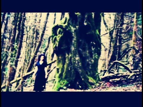 Pete Mac (Paradox) - Escape feat. Lisa Papineau (Official Music Video)