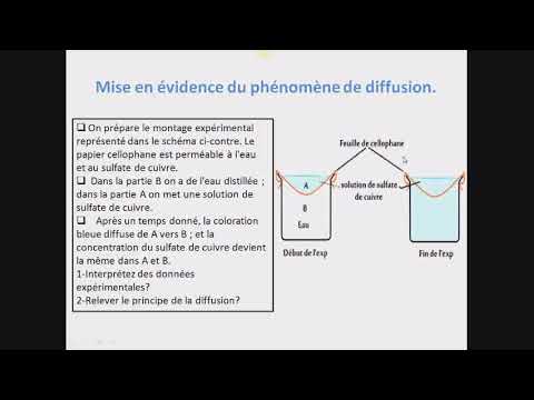 Vidéo: Identification De Nouveaux Inhibiteurs De Petites Molécules Pour Le Transporteur De Soluté SGLT1 En Utilisant La Modélisation Protéochimométrique