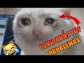 🤣 Animales Graciosos que te harán Olvidar tus Problemas 🐱🐶 los Mejores Videos de Animales Chistosos