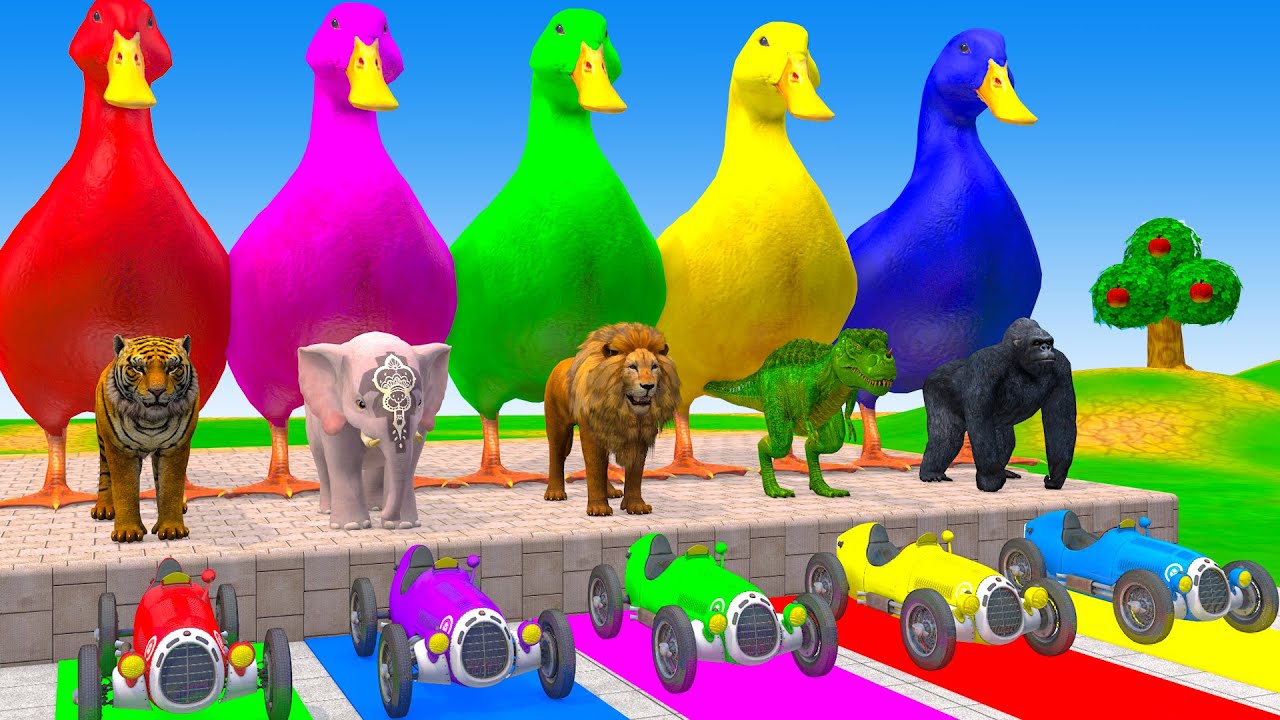 Long Slide Game With Cow Elephant Gorilla Hippopotamus Tiger 3d Animal Game Funny 3d Animals