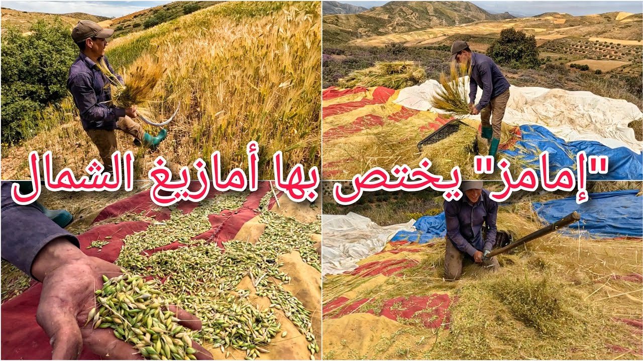 مراحل تحضير 