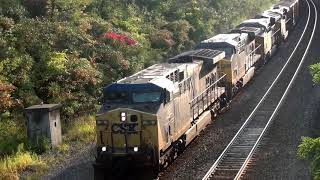 Big CSX Train Overhead View