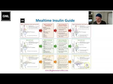 05 Mealtime Insulin Guide: Infographic and summary (www.theglucoseneverlies.com)