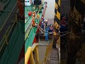 People who came to survey the ship 👀🤯#marchantnavy #ship #survey #beingmariner #shiphappens