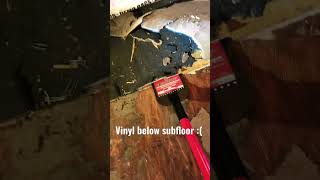 Satisfying or Aggravating; sub floor and vinyl removal
Satisfying or Aggravating; sub floor and vinyl removal Satisfying or Aggravating; sub floor and vinyl removal