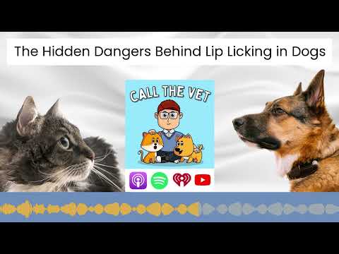 The Hidden Dangers Behind Lip Licking in Dogs