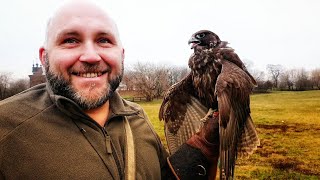 Frosty Russian winter and falcon flight in Kolomenskoye