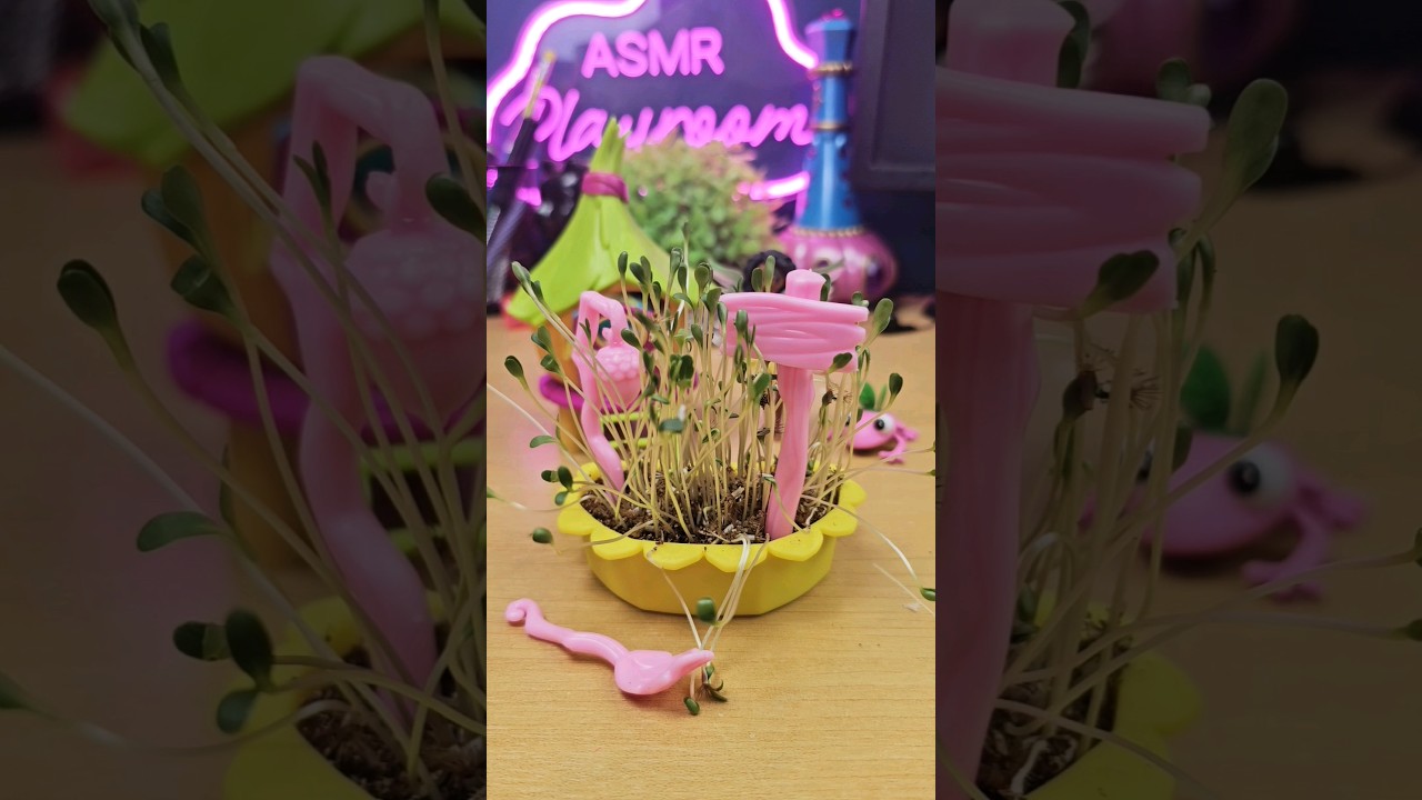 My Fairy Garden - Hops Hideaway 🐸 