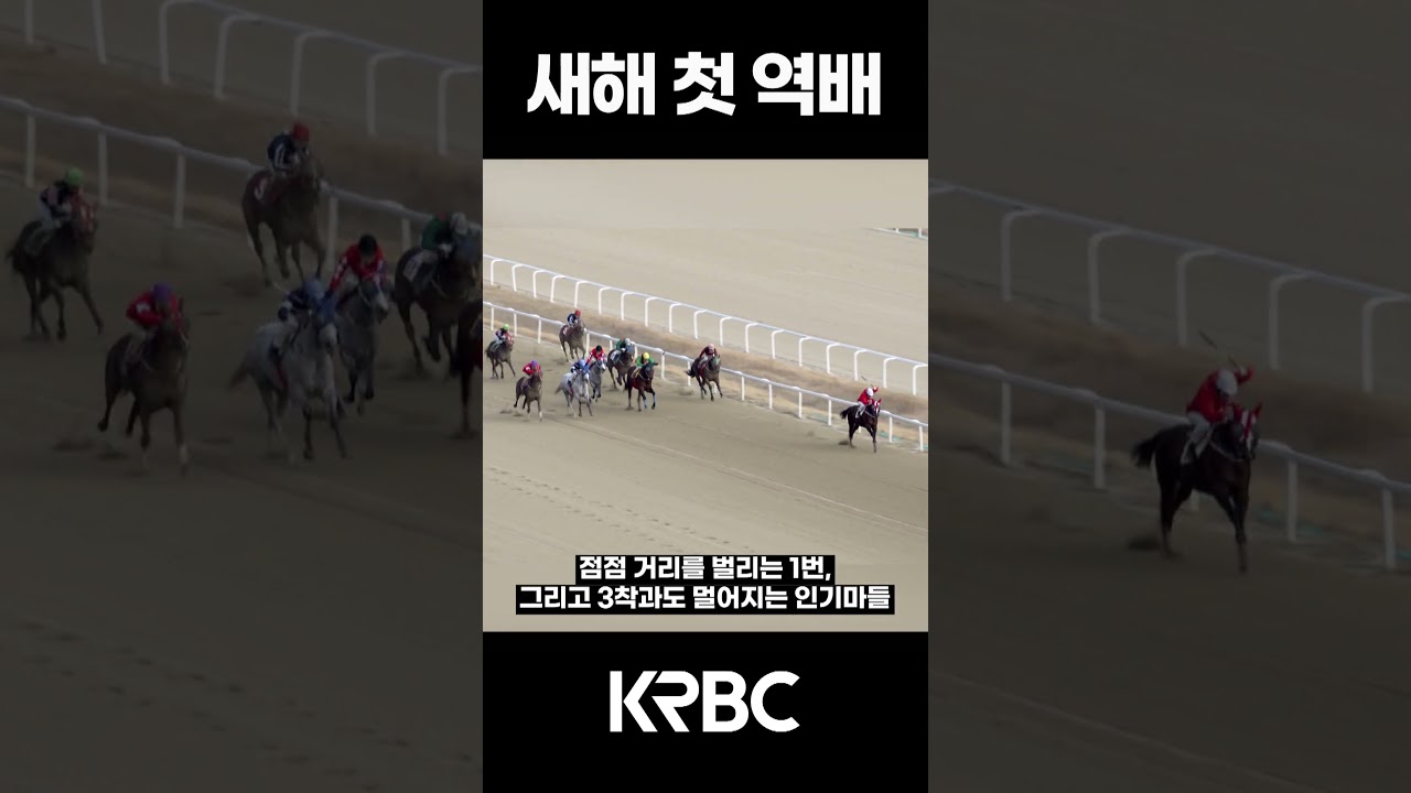 새해 첫 역배  #shorts #경마방송 #기수 #경주마 #경마 #KoreaHorseRacing #koreahorseracing