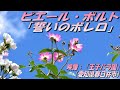 ピエール・ポルト「誓いのボレロ」：映像；「王子バラ園」（愛知県春日井市）