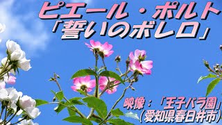 ピエール・ポルト「誓いのボレロ」：映像；「王子バラ園」（愛知県春日井市）