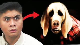 Gw Nonton Rekaman Asli Video DEEP WEB... | DOG NIGHTMARE ( Reaction)