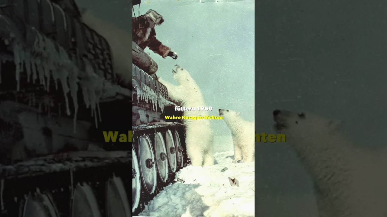 Auf gute Nachbarschaft