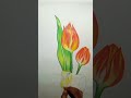 Rose Draw With Pencil Colours Supu Art Rj Vlogjh Rose Draw With Pencil Colours Supu Art Rj Vlogjh